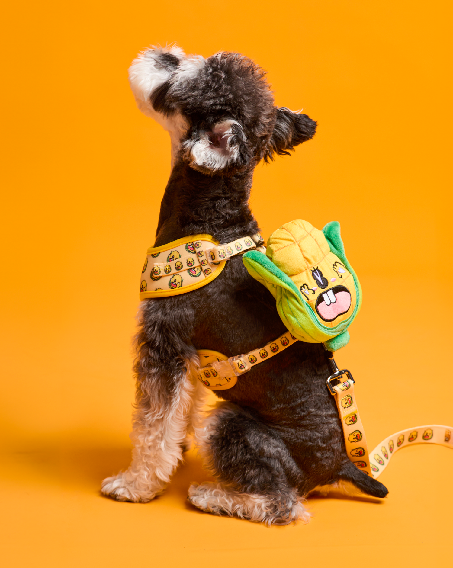 Backpack Style Dog Harnesses