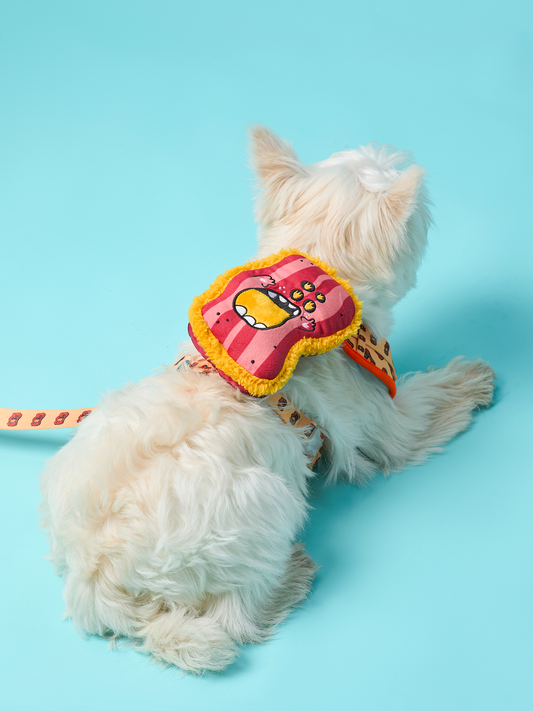 Crispy Bacon Dog Harness and Leash Bundle – Fun, Durable, and Comfortable