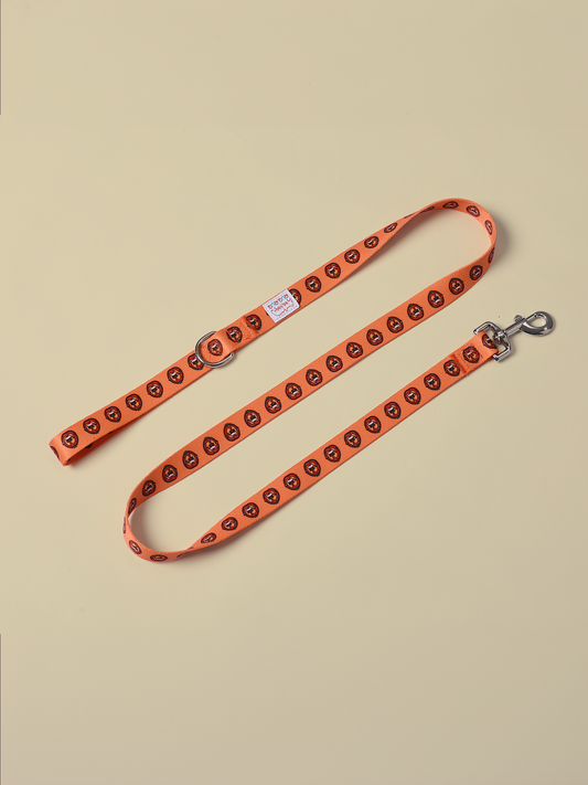 Ripe Tomato Dog Leash – Durable and Stylish for Every Walk