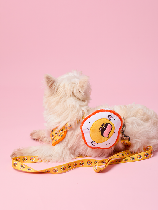 Sunny Egg Dog Harness and Leash Bundle – Comfortable, Stylish, and Durable