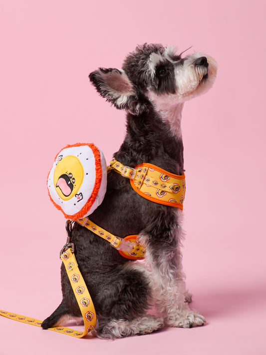 Sunny Egg Dog Harness – Comfortable and Stylish Pet Accessory