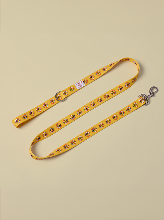 Sunny Egg Dog Leash - RuaRua's Bright & Sturdy Companion