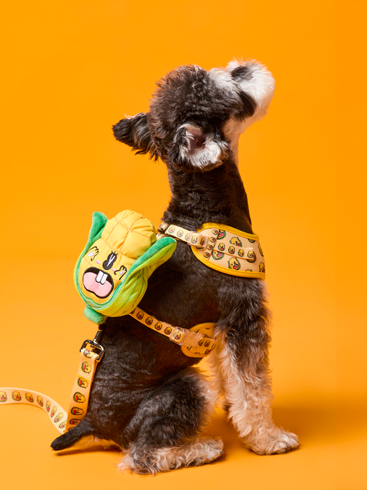 Sweetcorn Dog Harness and Leash Bundle - RuaRua's Cheerful Set